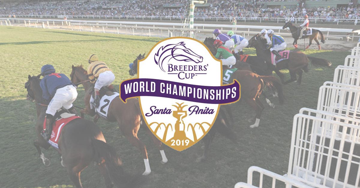 2019 Breeders Cup Distaff Betting Odds